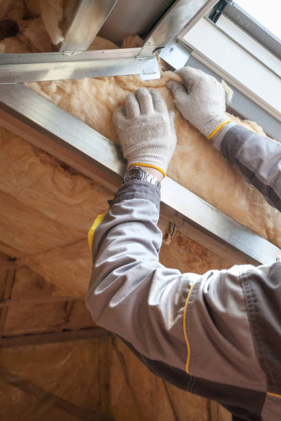 Best Insulation Inspection Services  in Warner, OK