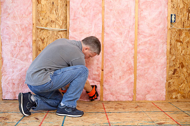Best Insulation Replacement Services  in Warner, OK