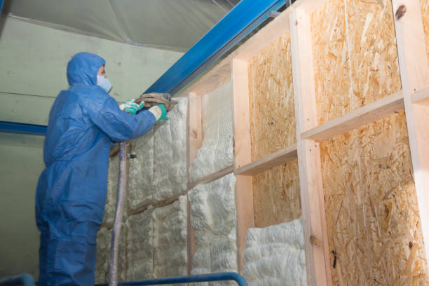 Best Soundproof Insulation Installation  in Warner, OK